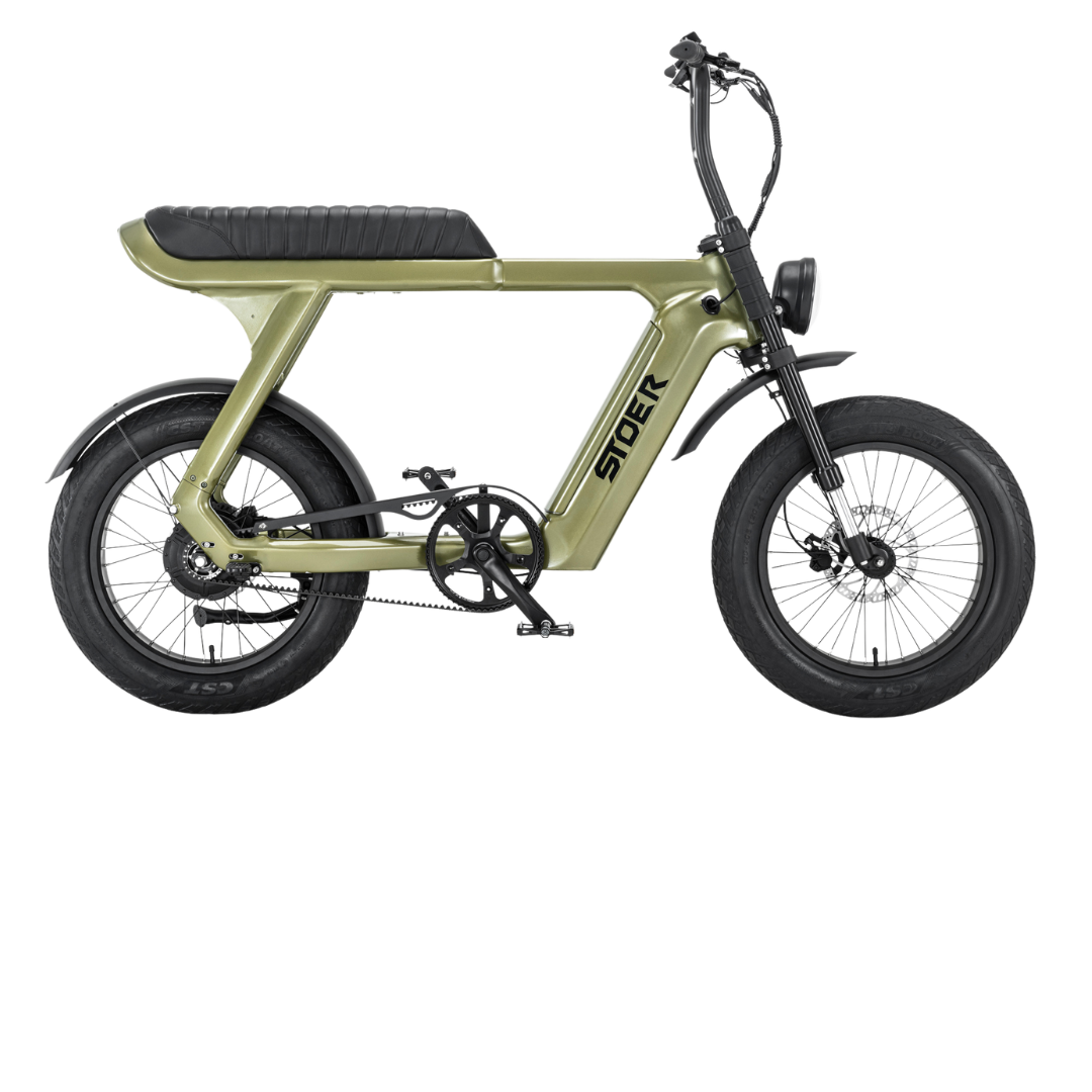 Leenfiets (2)
